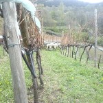 20150419_163042