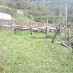 20150419_163143