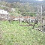 20150419_163147