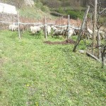 20150419_163212