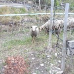 20150419_163346