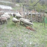 20150419_163403