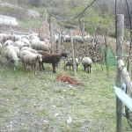 20150419_163410