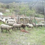 20150419_163419