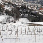 video_FIRA.023